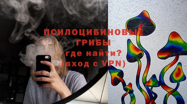 сатива Абдулино