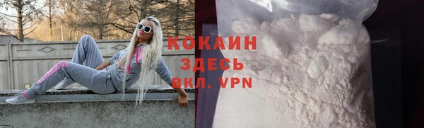 твердый Абаза