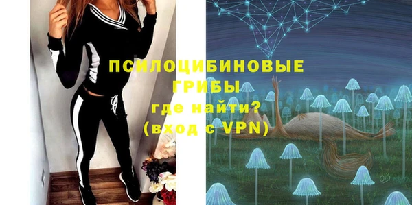 твердый Абаза